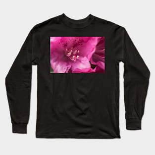 Pink flower close-up Long Sleeve T-Shirt